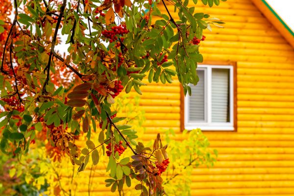Garden Window Replacement in Antioch